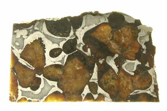 Polished Sericho Pallasite Meteorite ( g) Slice - Kenya #294890